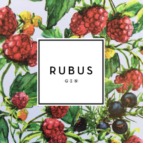 Rubus GIn